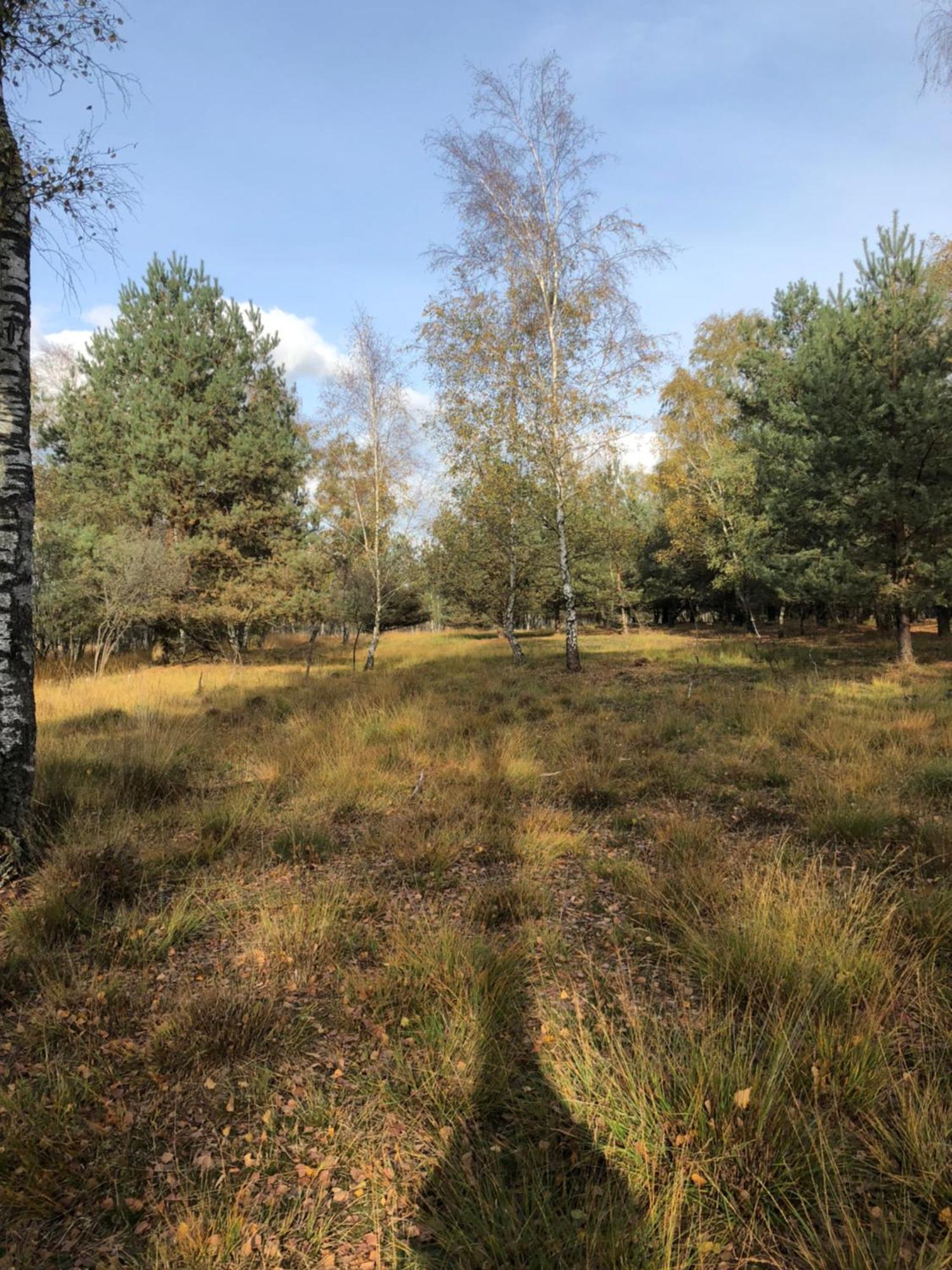 City Apparte Exklusiv - Direkt Am Antonius-Hospital - Stilvoll Wohnen Im Herzen Von Gronau Gronau  Exteriér fotografie